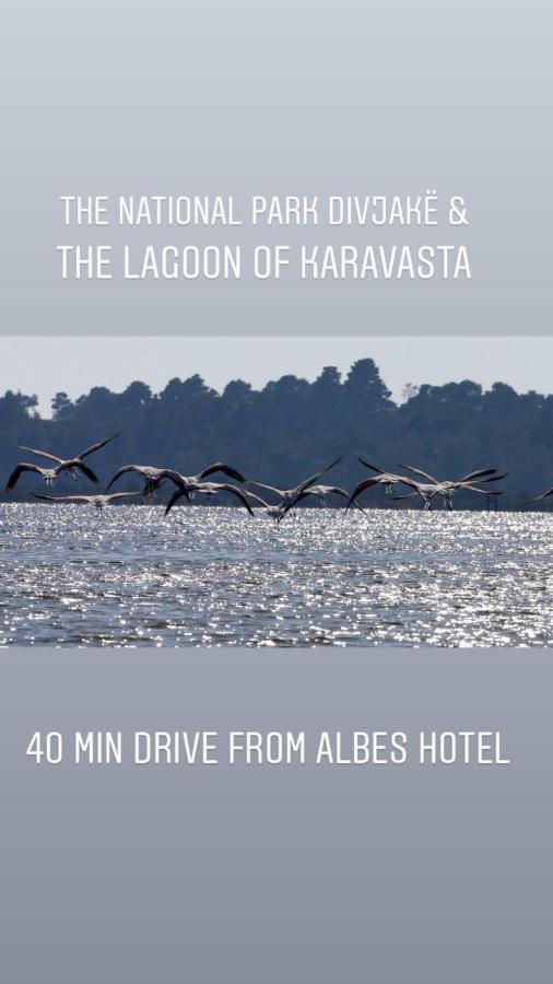 Hotel Albes 4*